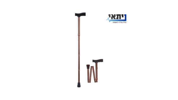 מקל הליכה